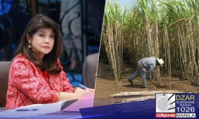 Nagbabala si Senador Imee Marcos sa gobyerno na may malalabag na batas kapag itinuloy ang importasyon ng 200,000 metriko-toneladang asukal