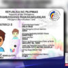 Pagpapalakas ng kampanya para sa National ID Registration, ipinanawagan sa LGUs