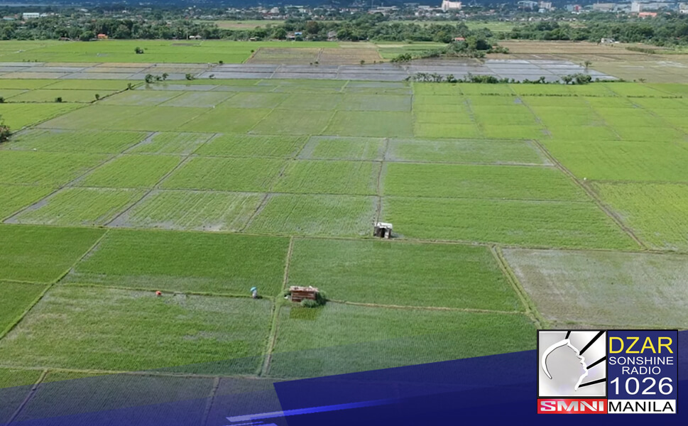 DA, naglaan ng mahigit P6.4M na tulong para sa mga rice farmer