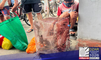 Rat to Cash program ng Marikina LGU, pinilahan