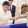 Target ni Pangulong Ferdinand Marcos Jr. na magbigay ng rice allowances para sa mga empleyado ng gobyerno.
