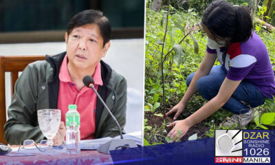 Iniutos ni Pangulong Bongbong Marcos Jr. sa mga ahensiya ng pamahalaan na isama ang tree planting activities sa flood control projects nito.