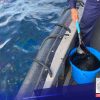 Oil spill, posibleng makakasira sa protected marine areas sa Mindoro